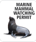 Marine mammal watching permit
